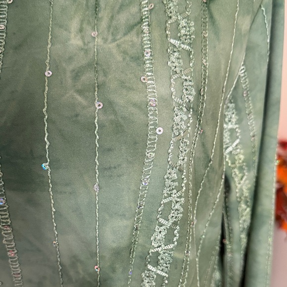 Ruby Rd. Green Tunic with Shimmering Stripes and Sequins - Picture 4 of 7
